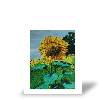 Impression sur toile Evaluation de Marc JAMET