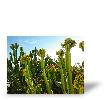 Photo toile R�sultat du test de Evelyne C.