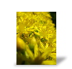 Photo toile R�sultat du test de Jacques Hen