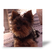 Photo toile R�sultat du test de FOURNIER FOURNIER