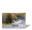Photo toile R�sultat du test de JEAN JACQUES CARLIER