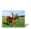 Photo toile R�sultat du test de Sandrine R.