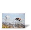 Photo toile R�sultat du test de Annie L.