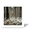 Impression sur toile Evaluation de Michel B�guin