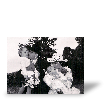 Photo toile R�sultat du test de Maria christine V.