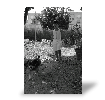 Tableau photo Rapport de test de Agostinho F.