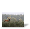 Photo sur toile Evaluation de Karine M.