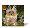 Photo toile R�sultat du test de Brigitte T.