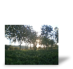 Tableau photo Rapport de test de B�r�nice Q.