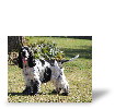 Photo toile R�sultat du test de Yveline V.