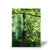 Photo toile R�sultat du test de Virginie R.