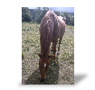 Photo toile R�sultat du test de Corinne PINAULT