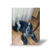 Photo toile R�sultat du test de Francoise S.