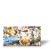 Photo toile R�sultat du test de Thibaut M.