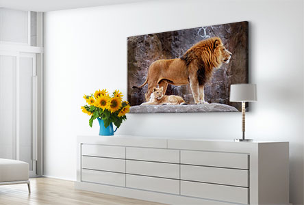 Salon-toile-lions-zoo