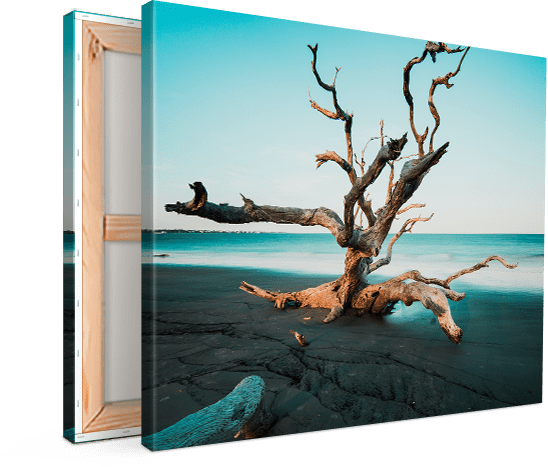 Photo sur toile XXL : grands formats & envoi 100% gratuit!