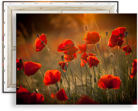 Photo sur toile XXL : grands formats & envoi 100% gratuit!